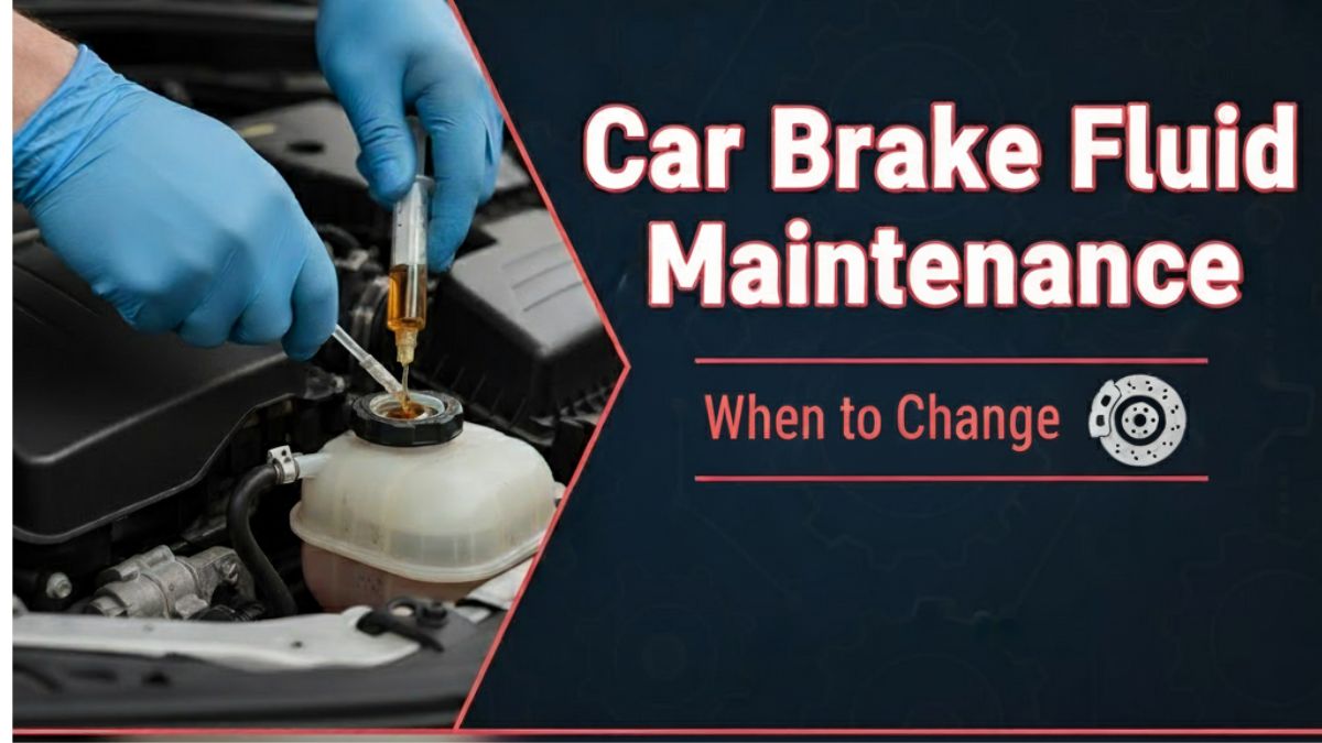 Car Brake Fluid Maintenance